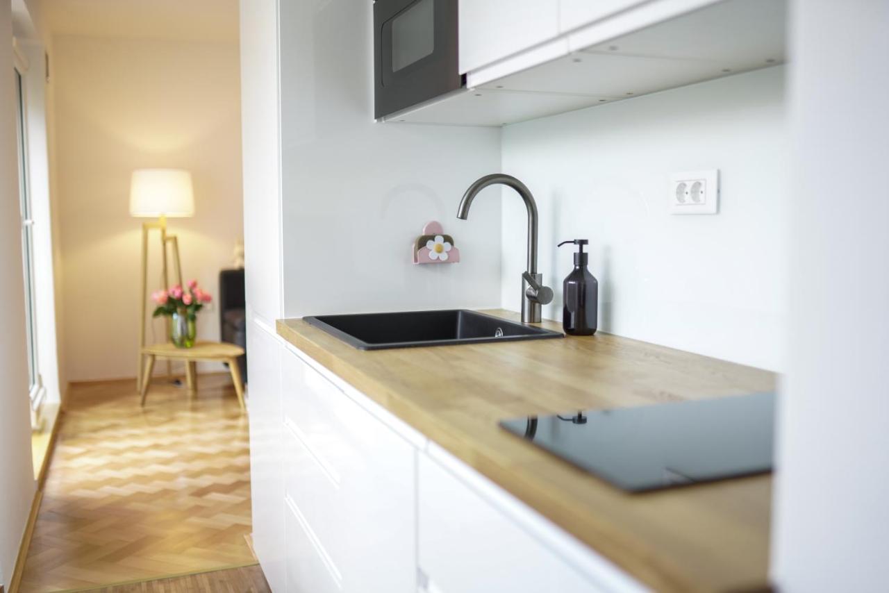 Bright Apartment ลูบลิยานา ภายนอก รูปภาพ